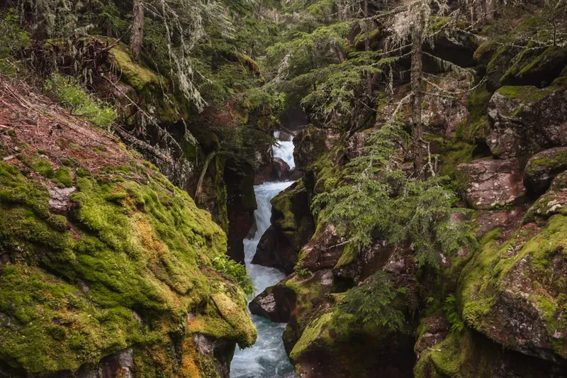 a stream running through a gorge