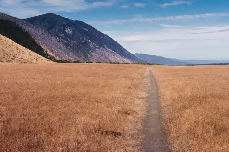 This photo was taken during a backpacking trip on the Lost Coast Trail in Northern California (Mendocino) in early July. We came to Big Flat on our second day of hiking and after miles of hiking on the rugged coast in the sand and avoiding rolled ankles on rocks, the trail and solid ground were very welcome.